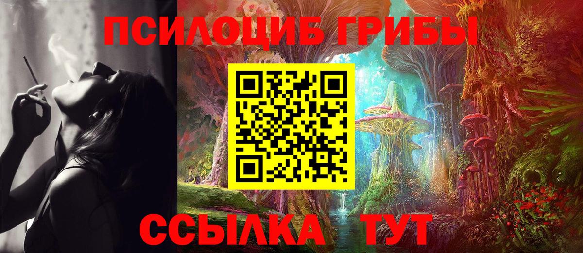 Галлюциногенные грибы мухоморы  Вход с VPN  купить наркоту  Тамбов 